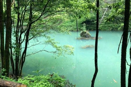 楠木林风景区一日游（宜昌夷陵区雾渡河中亚楠木林）
