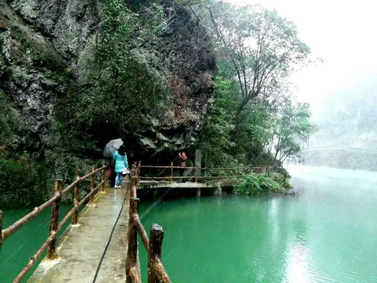 宜昌中亚楠木林旅游