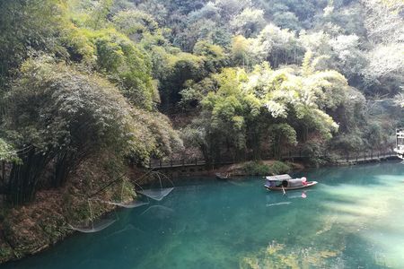 宜昌东站到三峡人家直通车一日游（10点半发团）