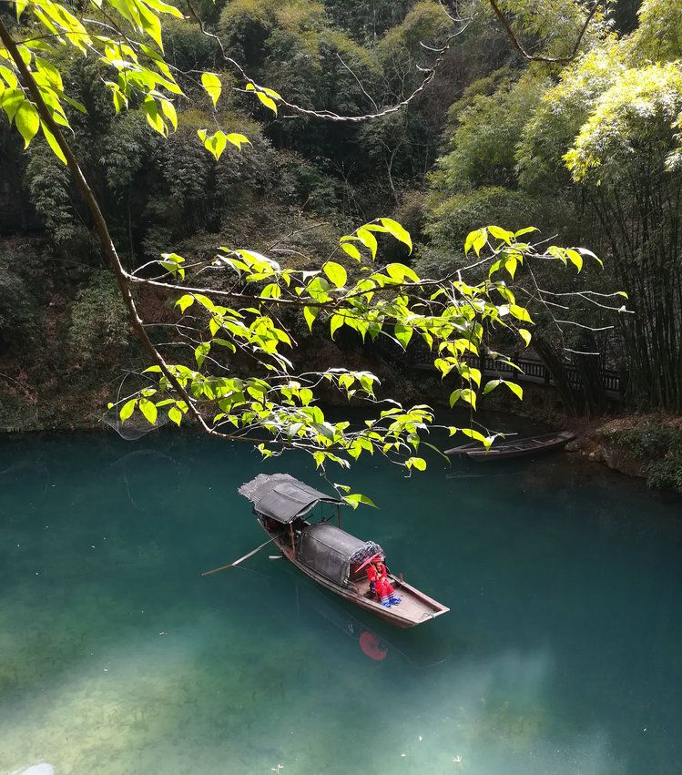 三峡人家旅游车线船线
