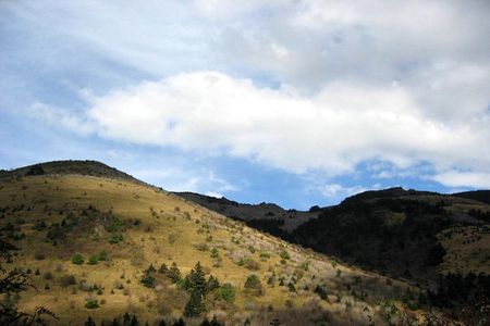 宜昌到三峡大坝、西陵峡、神农架三日游