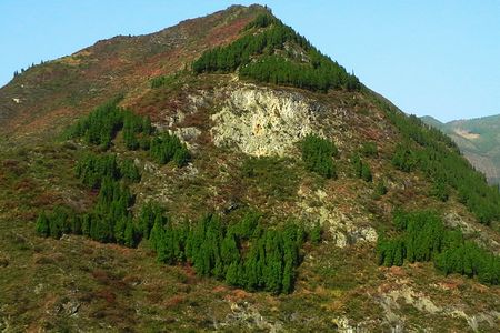 ＜世纪游轮江山如诗号快游三峡＞重庆奉节到宜昌三峡二日游