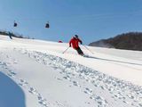 绿葱坡滑雪一日游