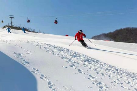 绿葱坡滑雪一日游