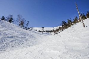 宜昌到云栖谷滑雪场双滑二日游（住滑雪场避暑庄园更多滑雪时间）
