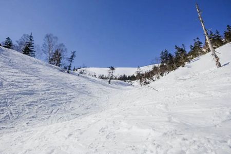 宜昌到云栖谷滑雪场双滑二日游（住滑雪场避暑庄园更多滑雪时间）